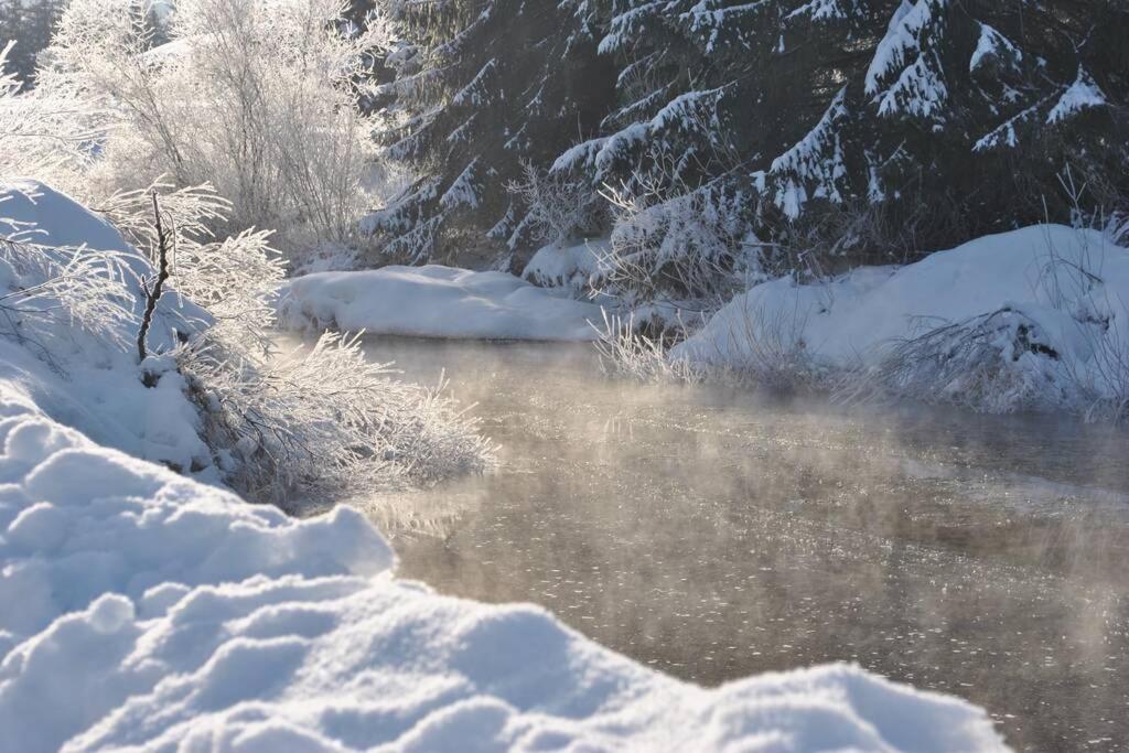 Gite Du Fourperet-Parc Naturel Du Haut-Jura Longevilles-Mont-dʼOr Kültér fotó