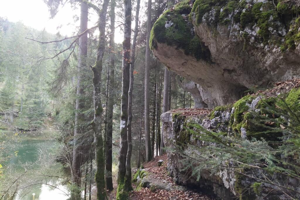 Gite Du Fourperet-Parc Naturel Du Haut-Jura Longevilles-Mont-dʼOr Kültér fotó